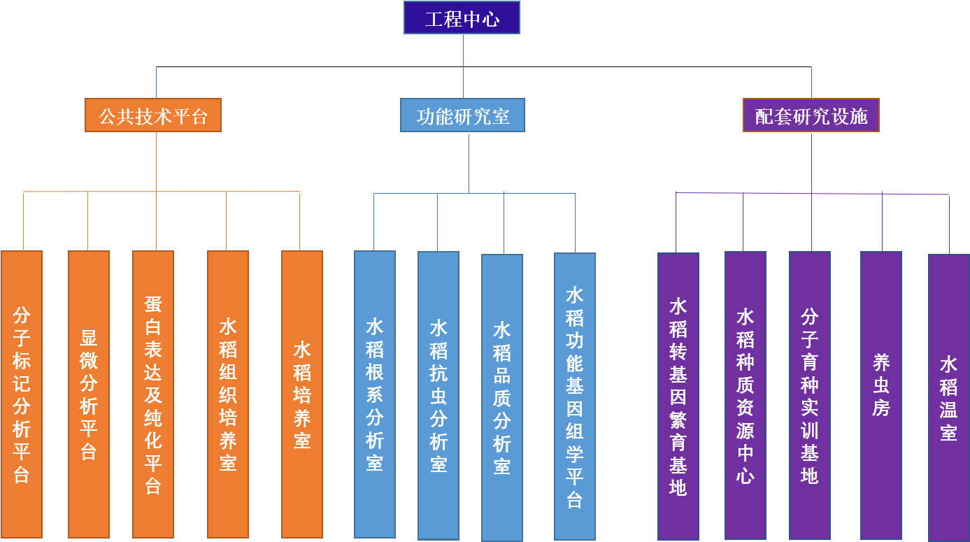 河南省水稻分子育種工程研究中心.png