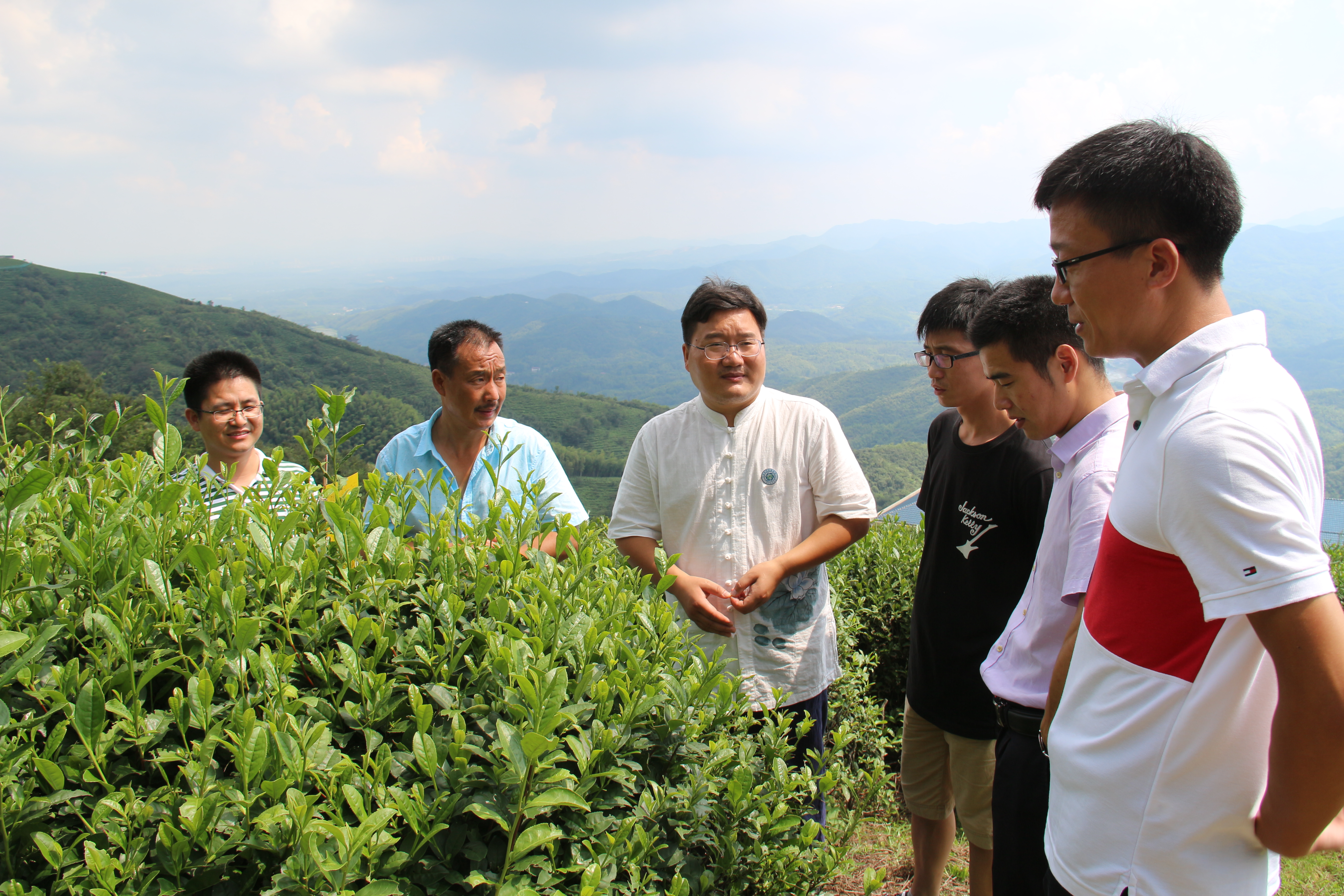 圖片5：河南省科技特派員服務隊和九華山茶業(yè)交流茶旅融合方案.JPG